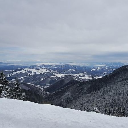 Apartment Nika Kopaonik Buitenkant foto